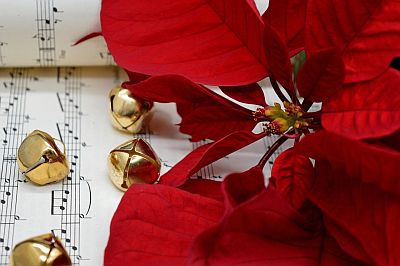 Symbolbild mit einem Weihnachtsstern, einer Zierpflanze deren obere Blätter sich durch zeitweiligen Lichtentzug rot färben, kleinen goldenen Schellen und Musiknoten